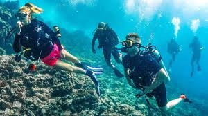 Scuba Diving Activity in Andaman
